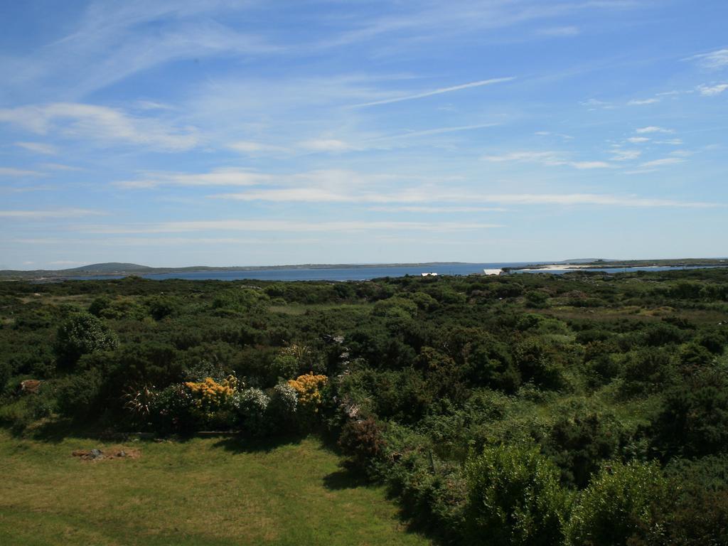 Rush Lake House Bed & Breakfast Clifden Rom bilde